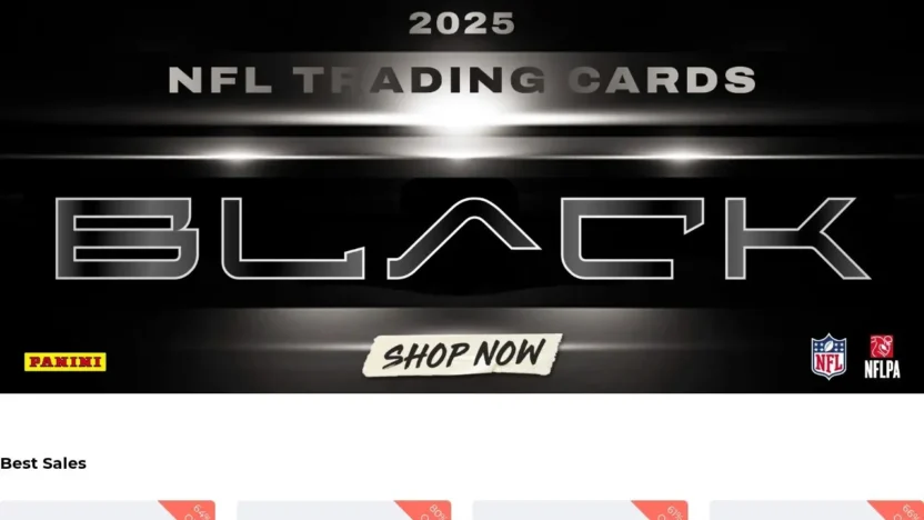 Non-Delivery Scam panini-wh.shop