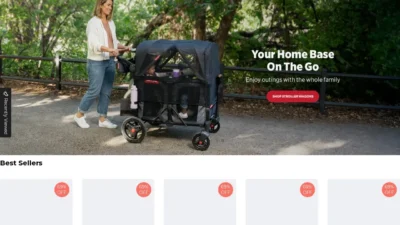 Non-Delivery Scam radioflyer-usa.shop