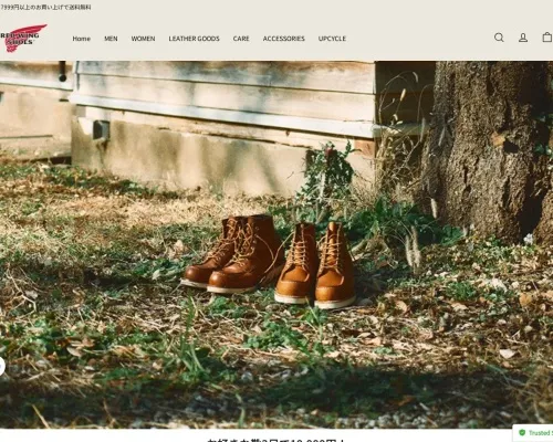 Screenshot of Fashion Scam website 20485