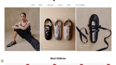 Fashion Scam repettoeu.shop