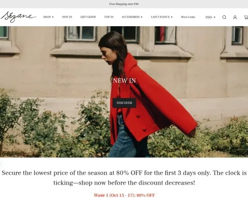 Screenshot of Fashion Scam website 20700