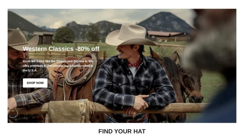 Fashion Scam stetsonvip.com