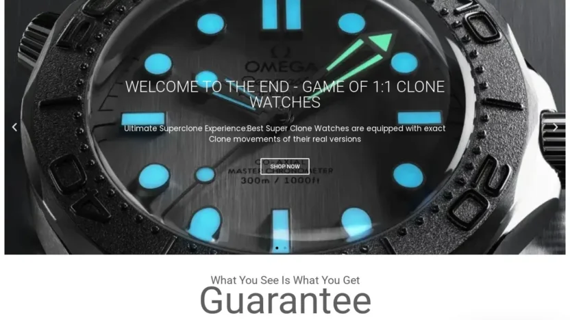 Non-Delivery Scam superclonewatchess.com