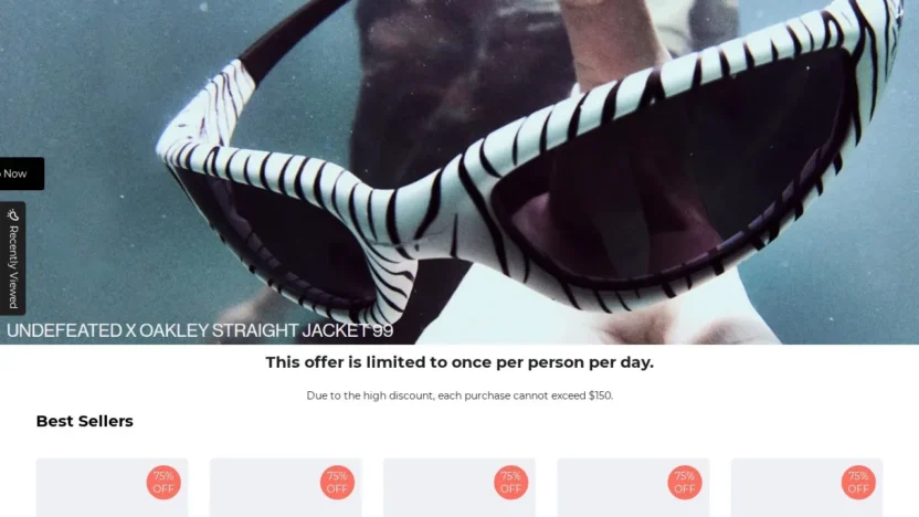 Fashion Scam undefeated-us.shop