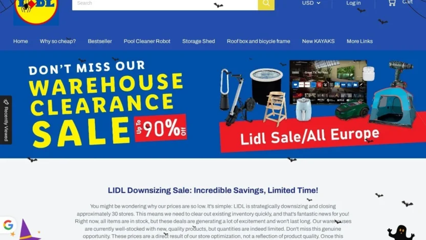 Non-Delivery Scam 2025halloweensale.shop