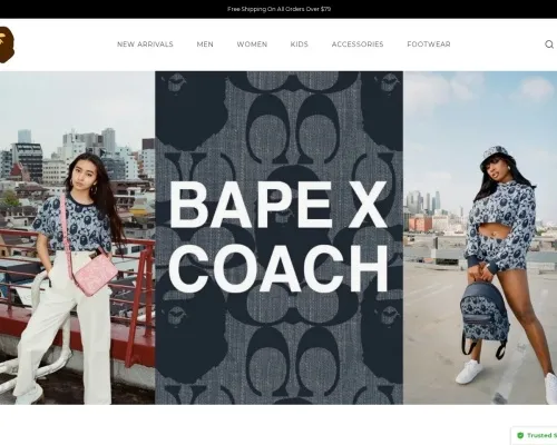 Screenshot of Fashion Scam website 21369