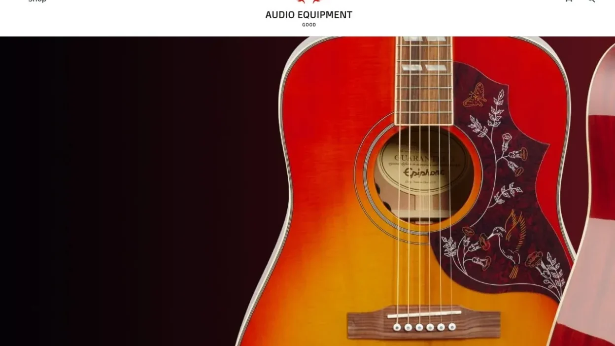 Non-Delivery Scam audioequipmentgood.com