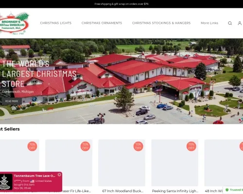 Screenshot of Non-Delivery Scam website 21396