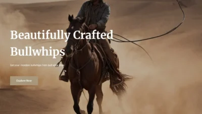 Non-Delivery Scam bullwhipshop.com