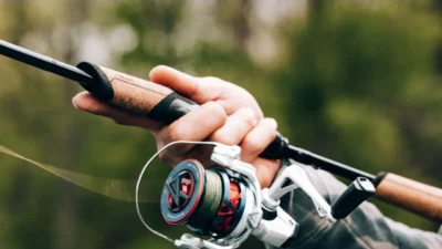 Non-Delivery Scam expertfishinggear.com