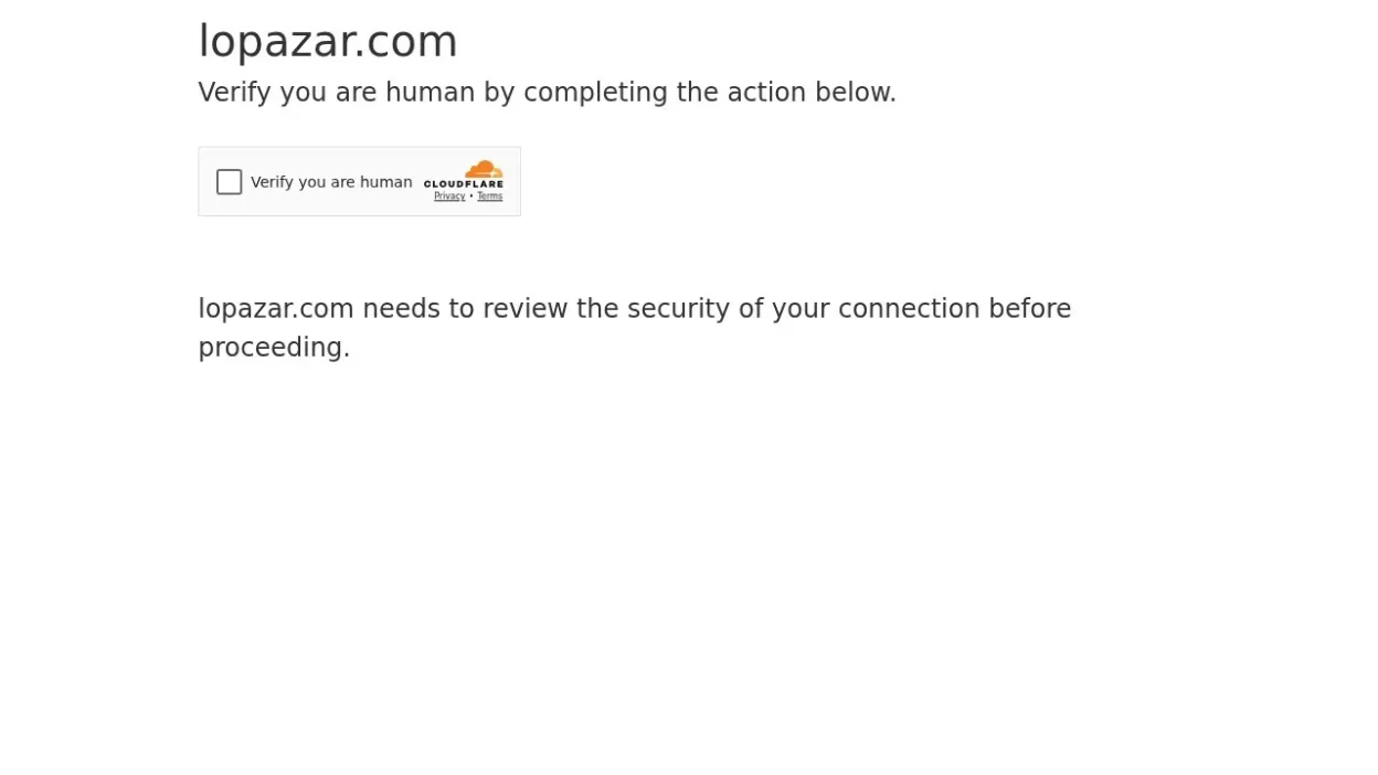 Non-Delivery Scam lopazar.com
