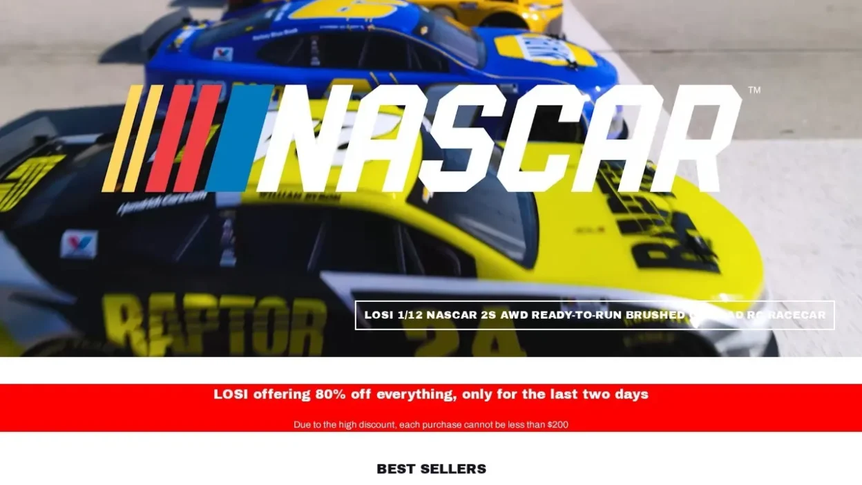 Non-Delivery Scam losisale.shop