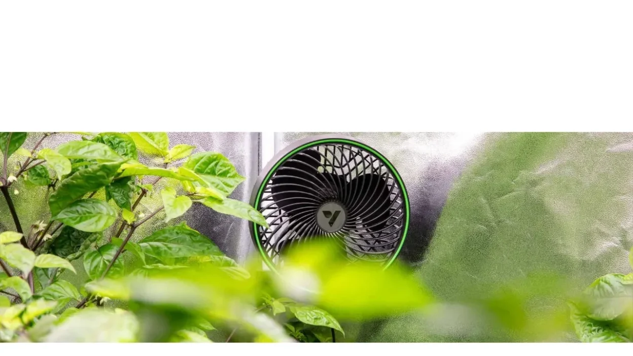 Non-Delivery Scam planting-expert.com