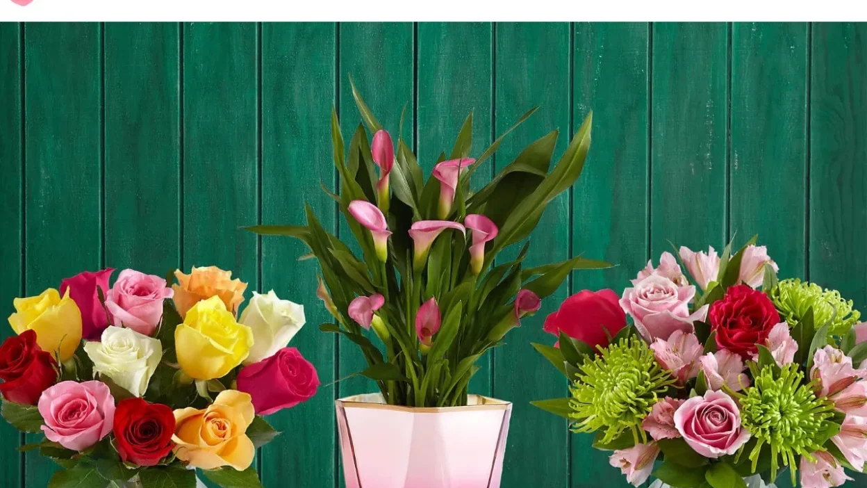 Non-Delivery Scam rmwilliamoutlet.com