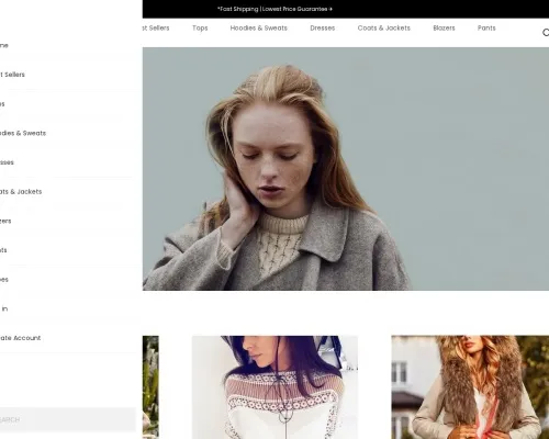 Screenshot of Fashion Scam website 21273