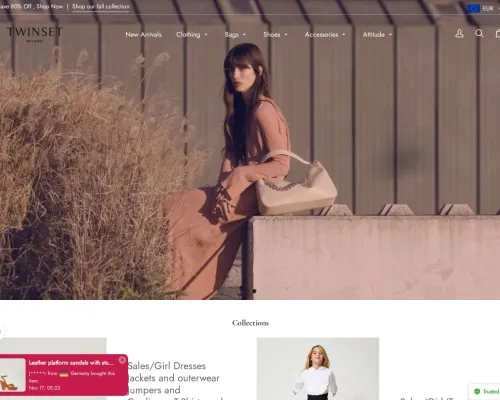 Screenshot of Non-Delivery Scam website 21515