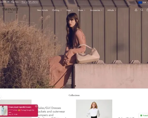 Screenshot of Non-Delivery Scam website 21536