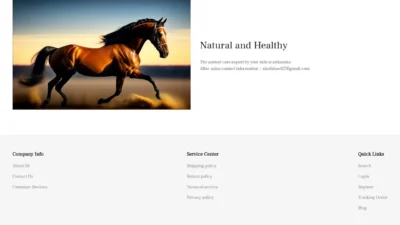 Non-Delivery Scam ankaanka.com