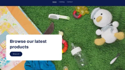 Non-Delivery Scam buylixo.com