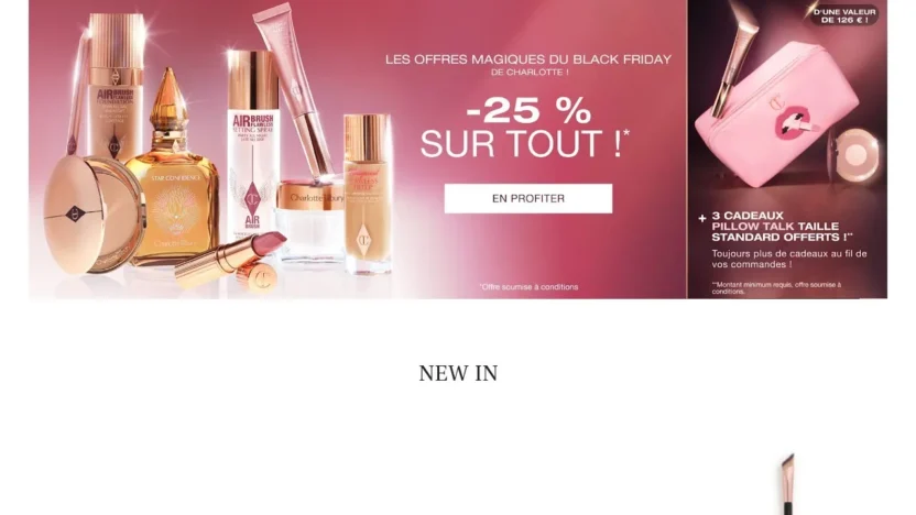 Fashion Scam charlotetilbuy.shop