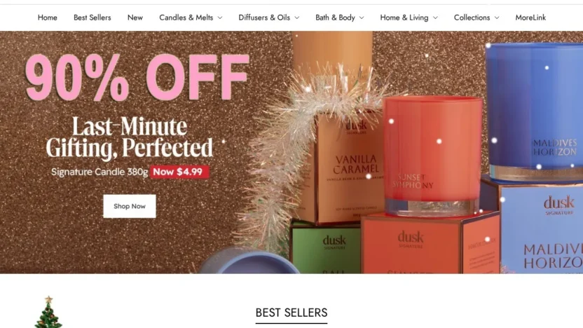 Non-Delivery Scam dusksale.com