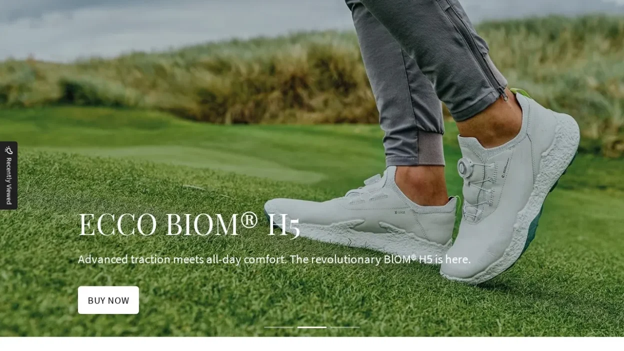 Fashion Scam ecco-2025.top