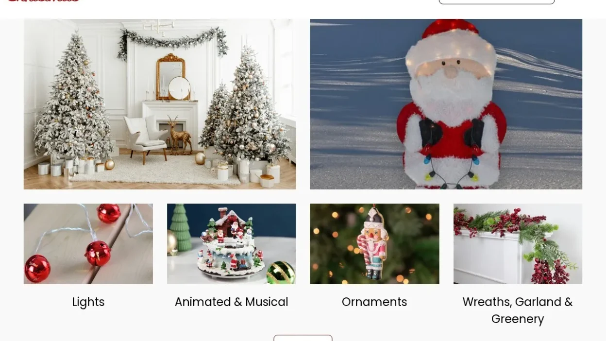 Non-Delivery Scam holidaygiftsales.shop