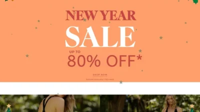 Non-Delivery Scam lornajaneauonline.com