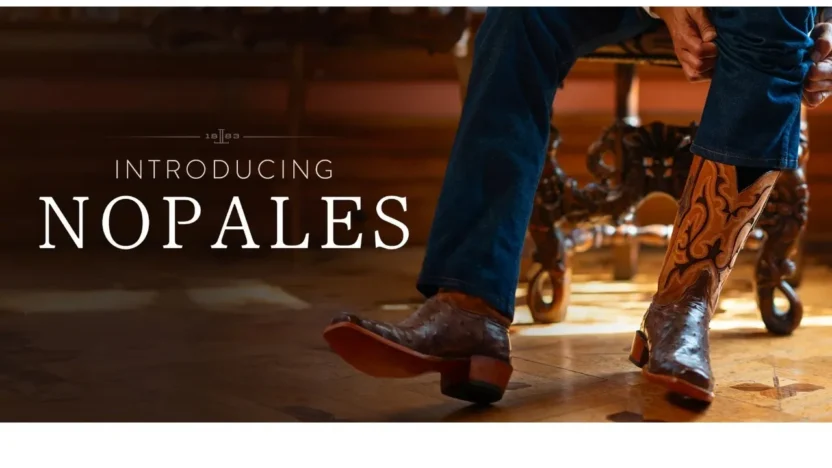 Fashion Scam luccheseofficial.shop