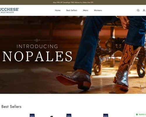 Screenshot of Non-Delivery Scam website 22520