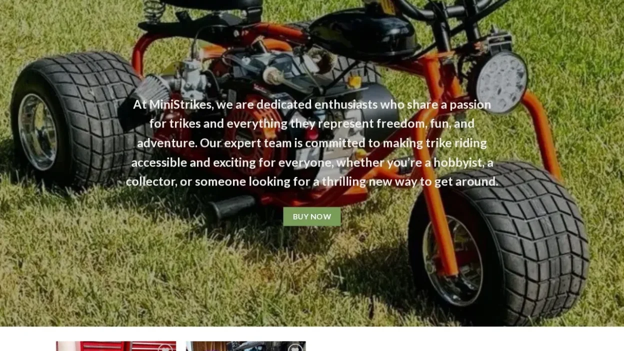 Non-Delivery Scam ministrikes.online