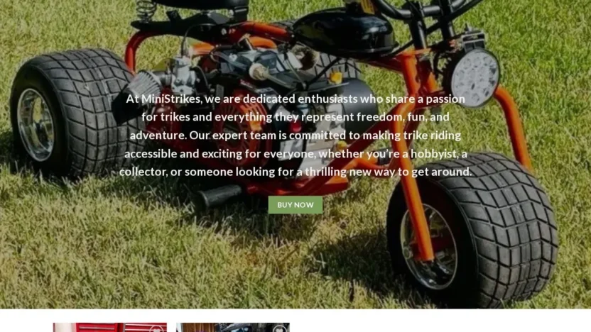 Non-Delivery Scam ministrikes.online