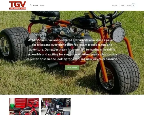 Screenshot of Non-Delivery Scam website 22790