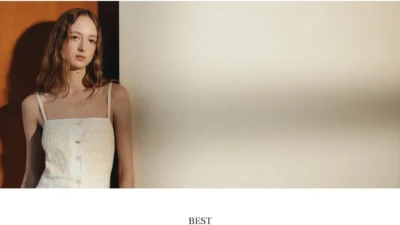 Fashion Scam patagniaoutlet.shop