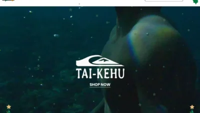 Fashion Scam quiksilverau.com