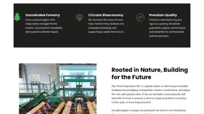 Non-Delivery Scam raywoodexploatare.com