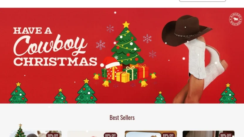 Non-Delivery Scam ringerswesternauoff.com