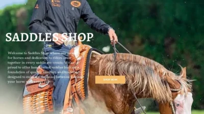 Non-Delivery Scam saddlesshop.com