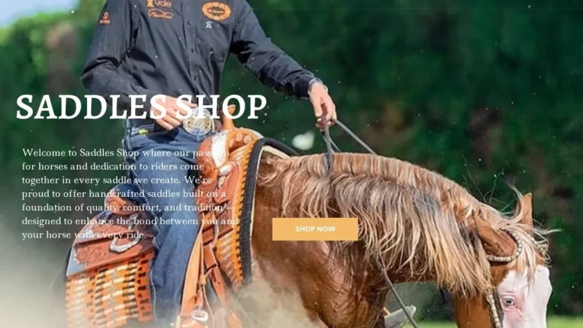 Non-Delivery Scam saddlesshop.com