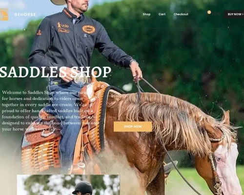 Screenshot of Non-Delivery Scam website 22682