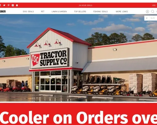 Screenshot of Non-Delivery Scam website 22969