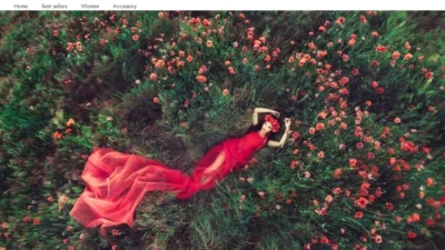 Non-Delivery Scam zalando-hot.shop