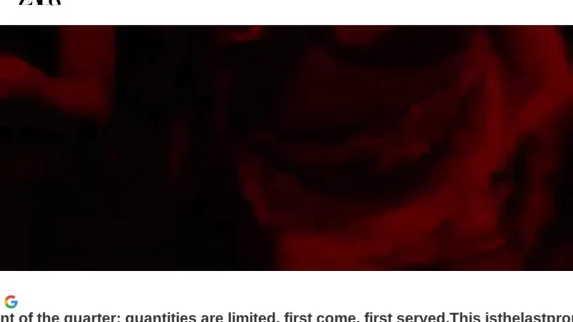 Fashion Scam zara-stores.shop