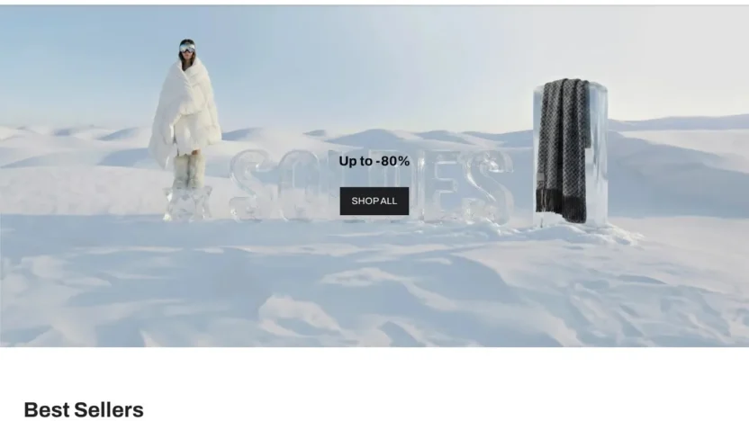 Fashion Scam carreblanconlinesale.com