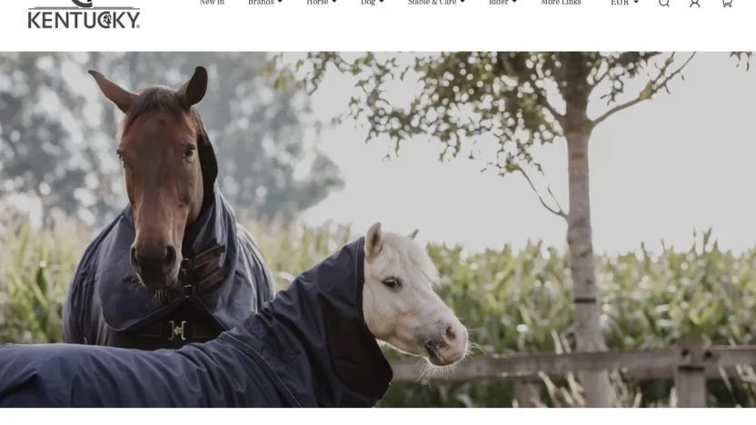 Non-Delivery Scam kentuckyeuoff.com