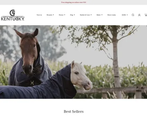 Screenshot of Non-Delivery Scam website 23161