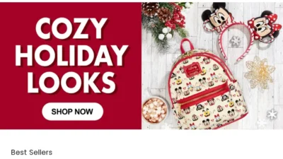 Non-Delivery Scam loungeflyus.com