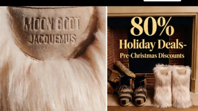 Non-Delivery Scam moonbigsaleca.com