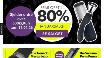 Non-Delivery Scam nytels-sale.shop