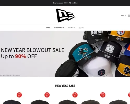 Screenshot of Non-Delivery Scam website 23574